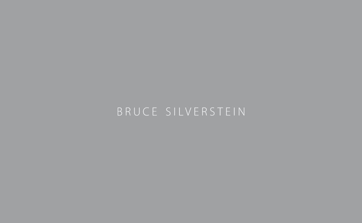 Bruce Silverstein