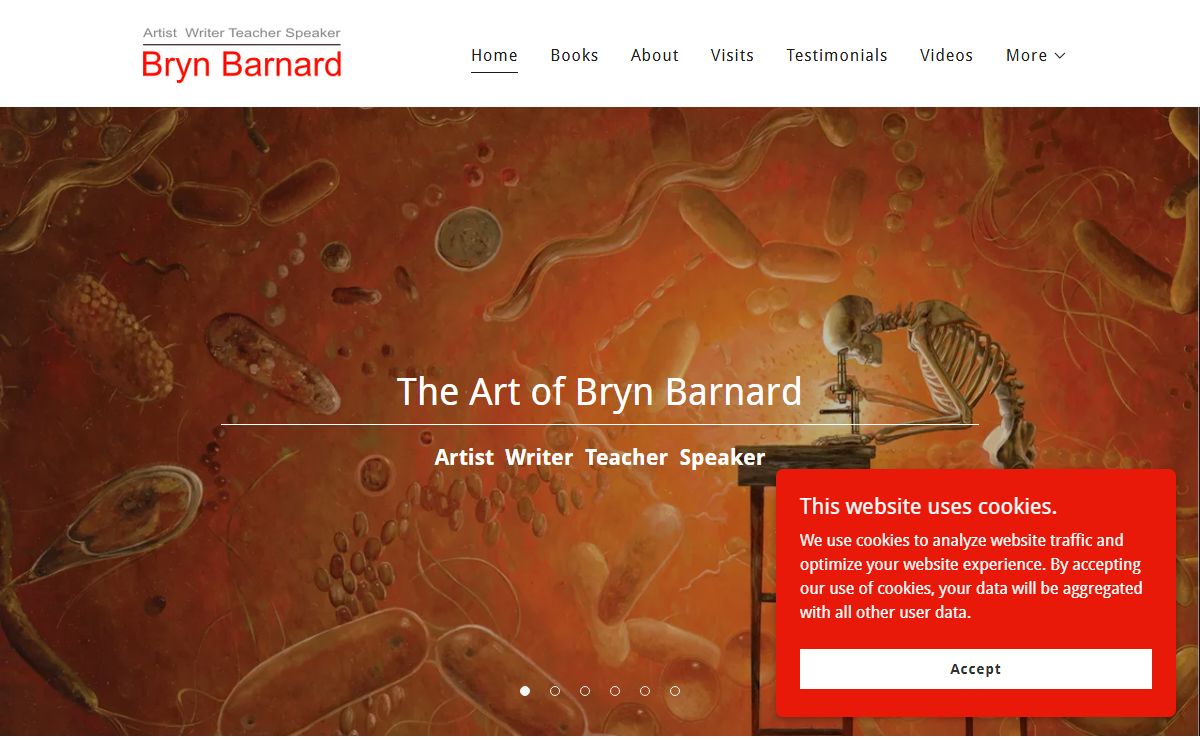 Bryn Barnard - Art, Art, Writer, School Visits