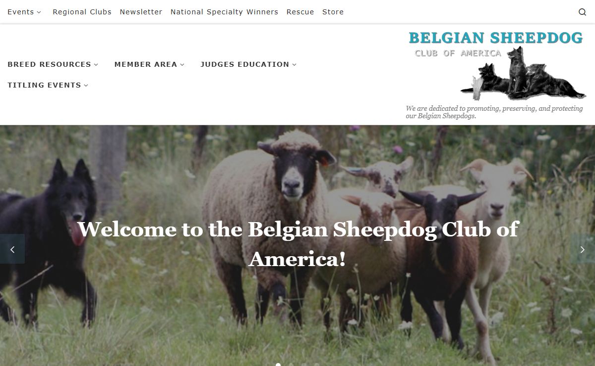 Belgian Sheepdog Club of America