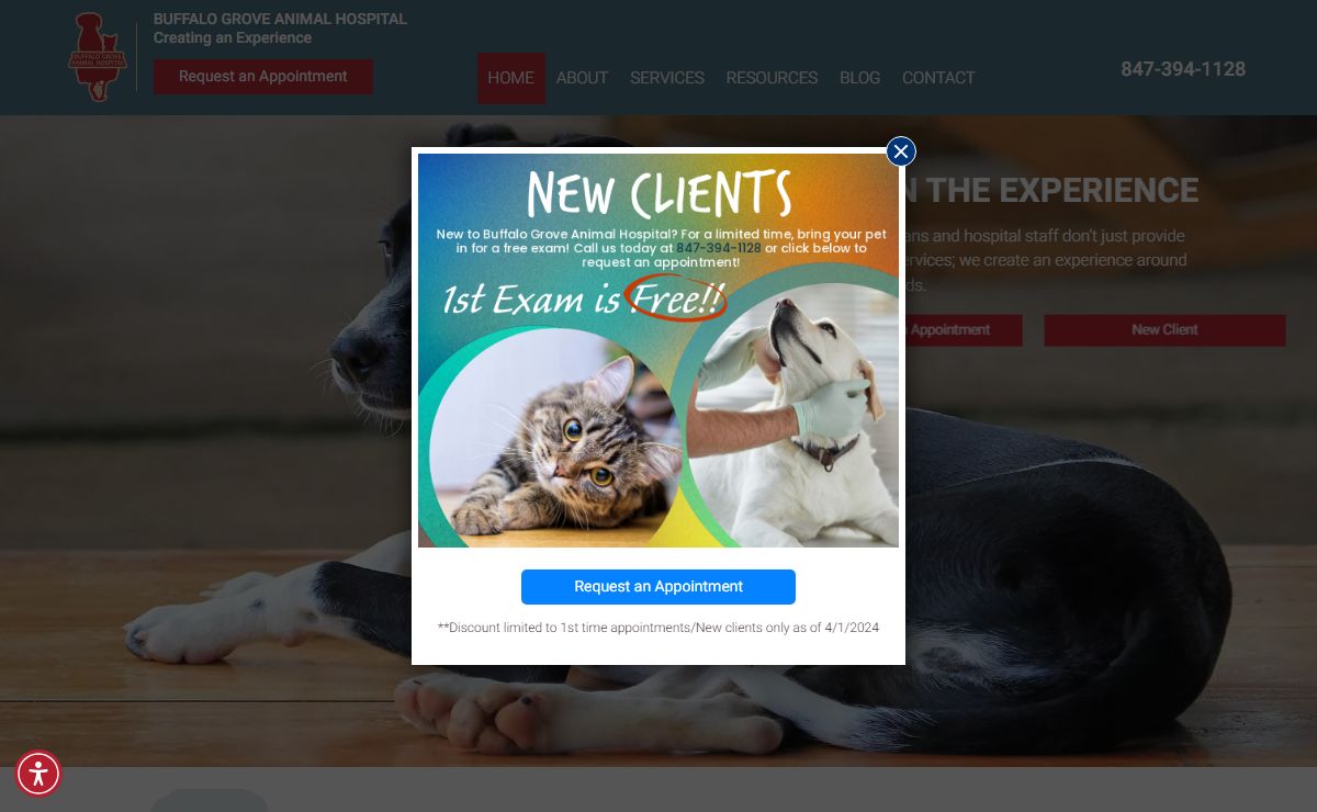 Veterinarian in Buffalo Grove, IL | Buffalo Grove Animal Hospital