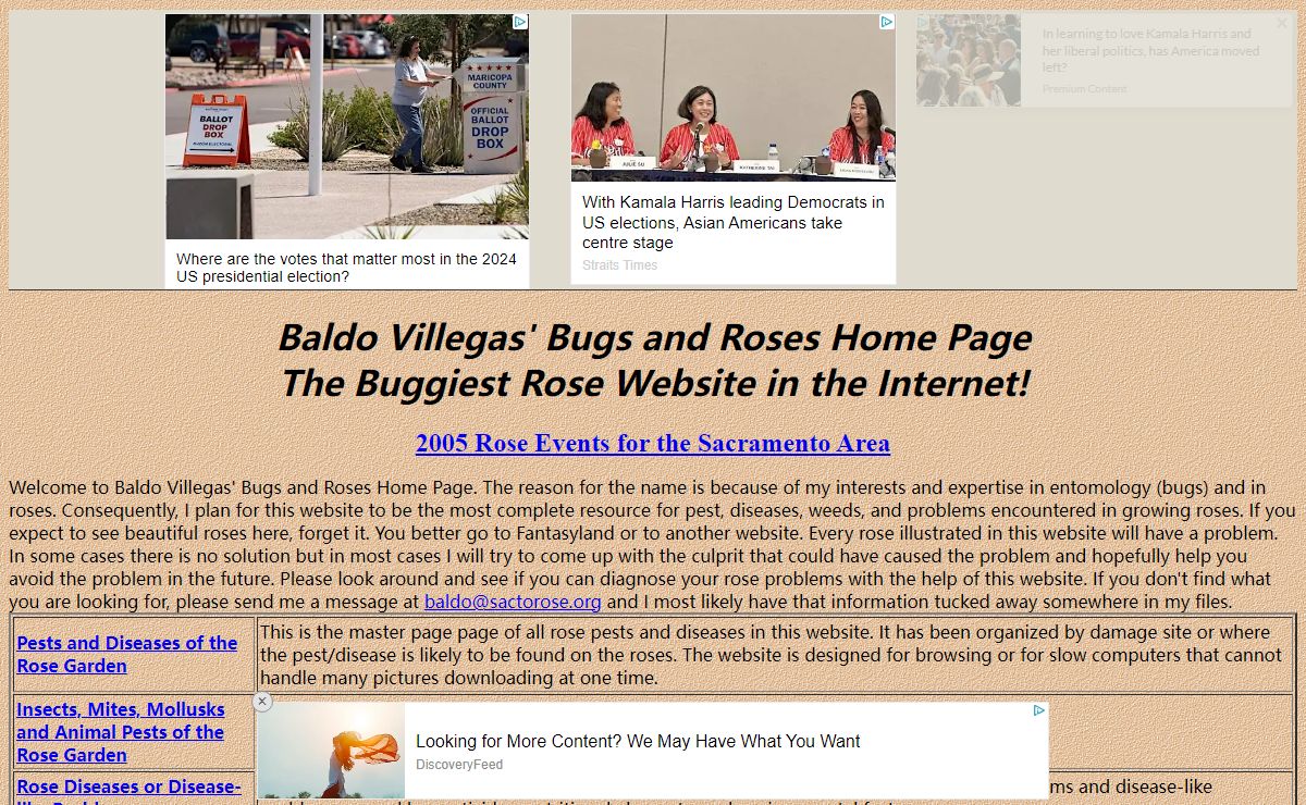 Baldo Villegas' Buggiest Website in the Internet