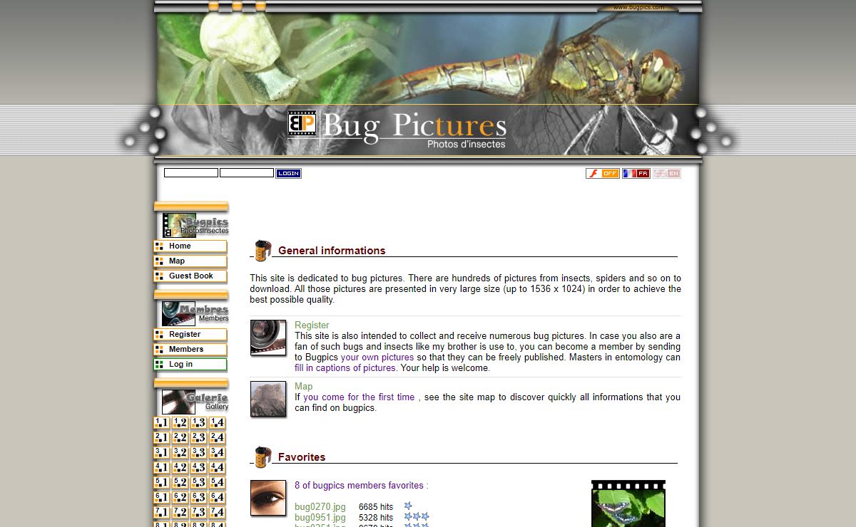 Bug Pictures - Home