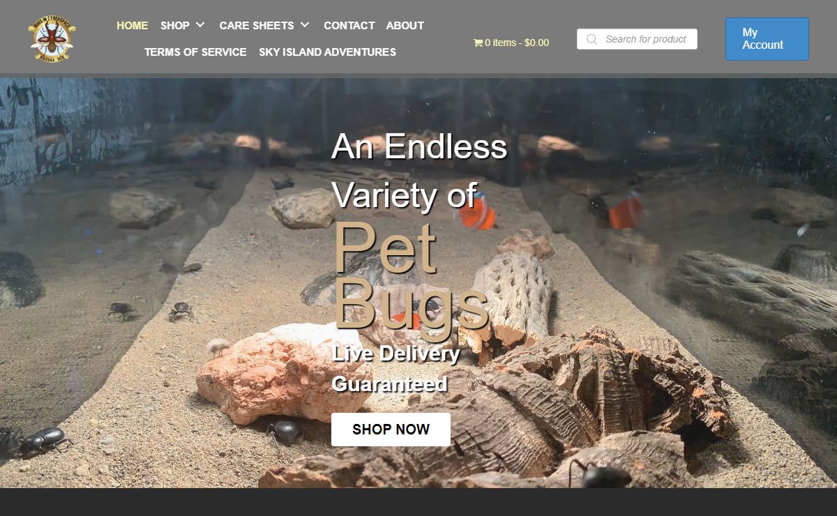 Live Pet Insects | Bugs In Cyberspace