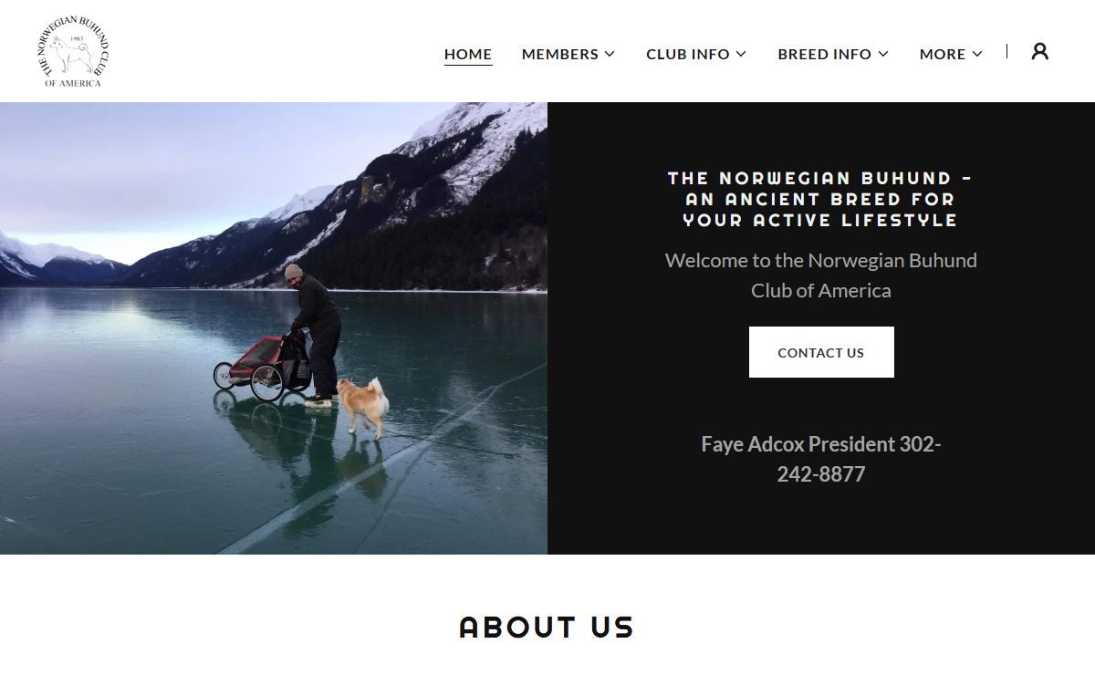 Norwegian Buhund Club of America - NBCA