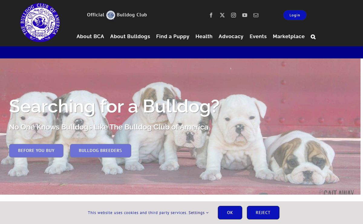 Bulldog Club of America - Home of the Official AKC Bulldog Breed Club - The Bulldog Club of America