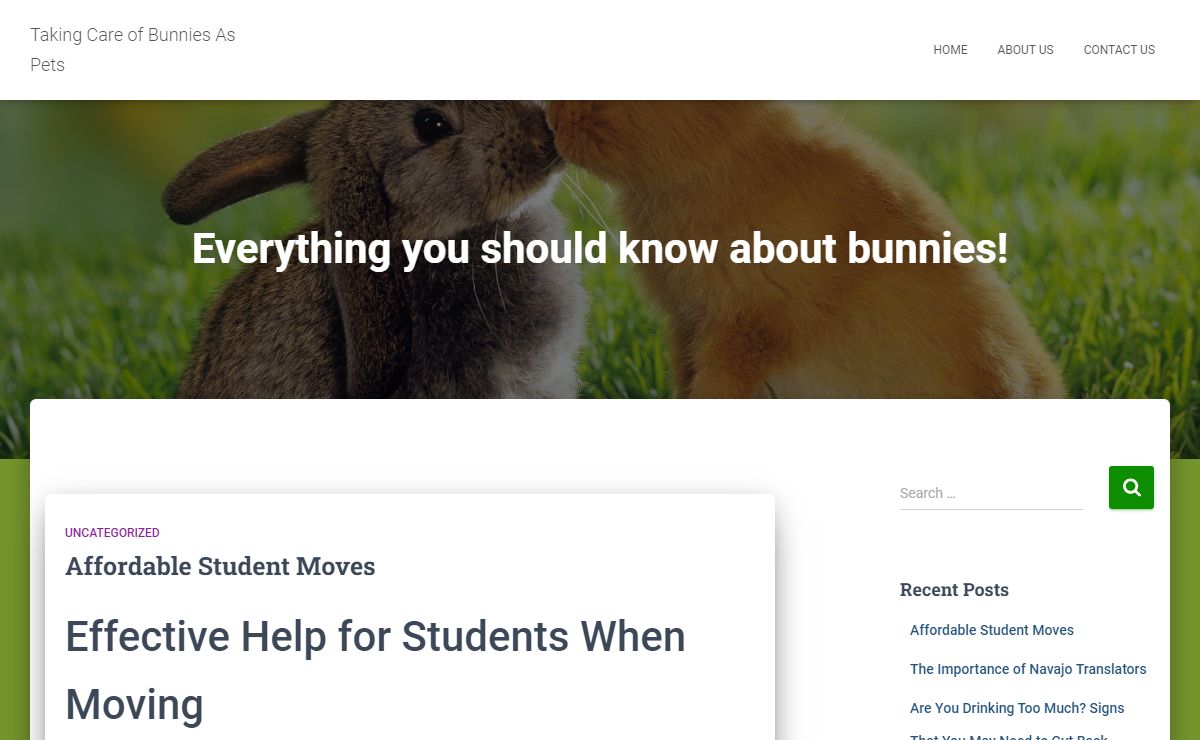 Taking Care of Bunnies As Pets - Everything you should know about bunnies!
