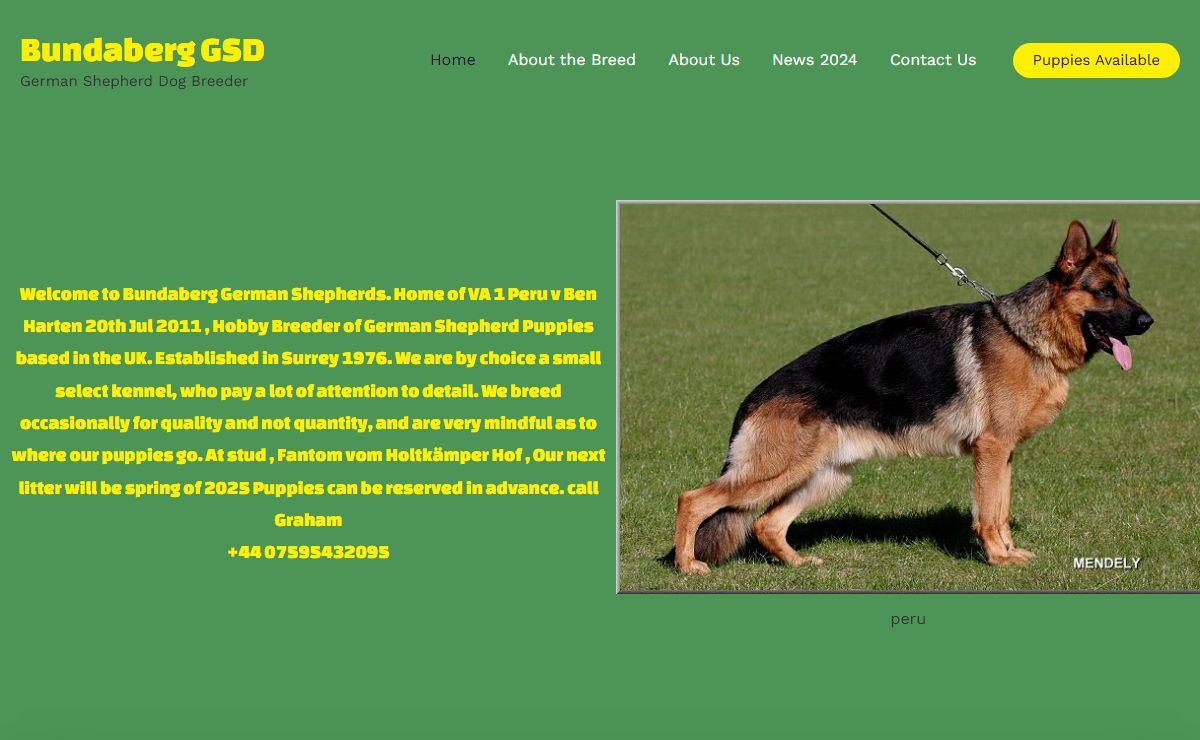 Bundaberg GSD – German Shepherd Dog Breeder