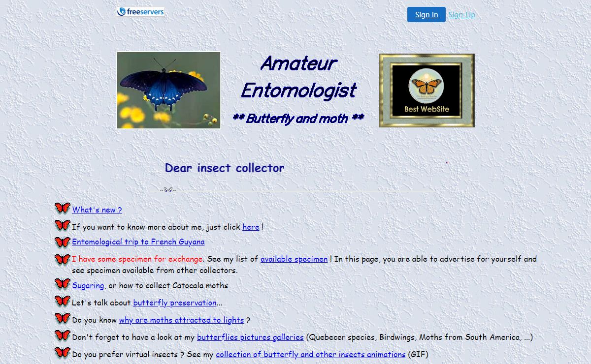 Amateur entomologist - butterfly collection