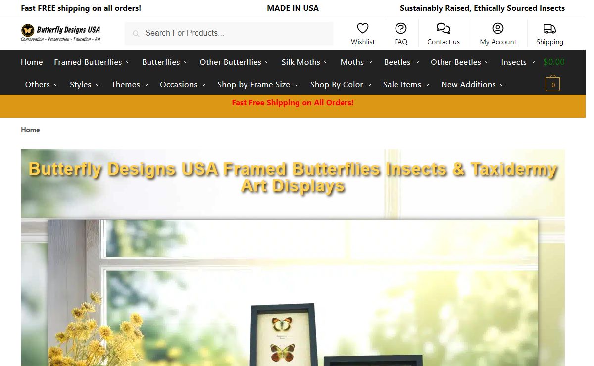 Framed Butterflies - Butterfly Designs USA - Real Insect taxidermy Art
