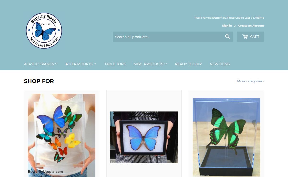 Real framed mounted butterflies for sale, gifts art | Butterfly Utopia