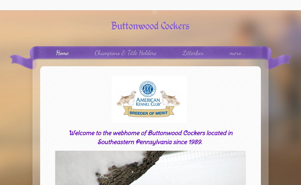 Buttonwood Cockers - Home