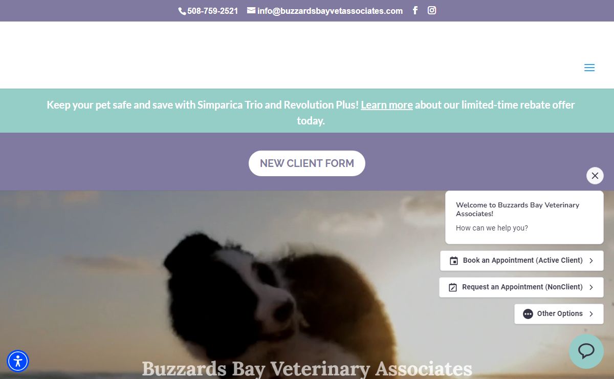 Buzzards Bay Veterinarian - Buzzards Bay Veterinary Associates