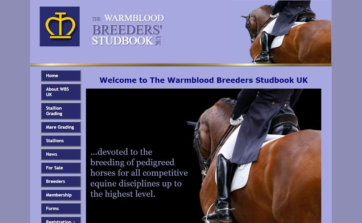 warmblood breeders society studbook uk stallions | British Warm-Blood Horses