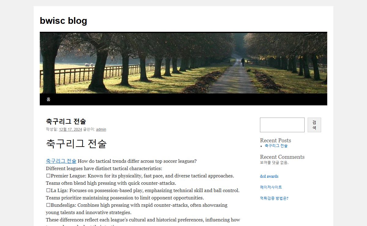 bwisc blog -bwisc blog