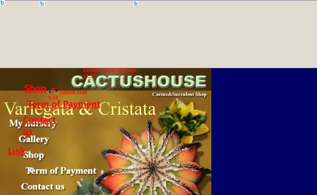 Cactus house
