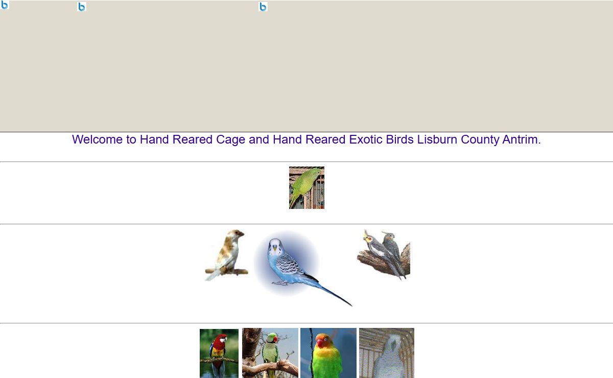 Welcome to Cage and Aviary hand reared exotic birds