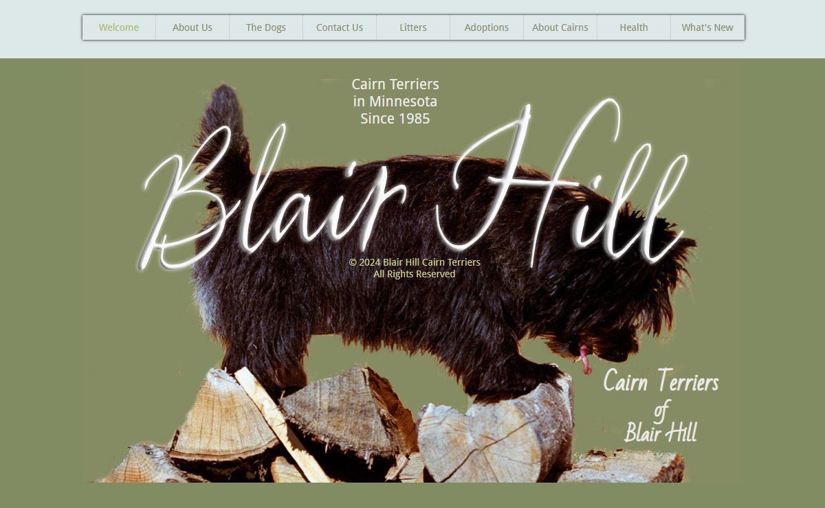 |Cairn Terriers| Blair Hill|