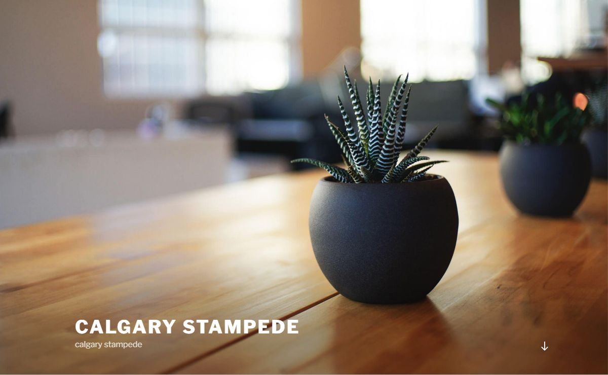 calgary stampede – calgary stampede