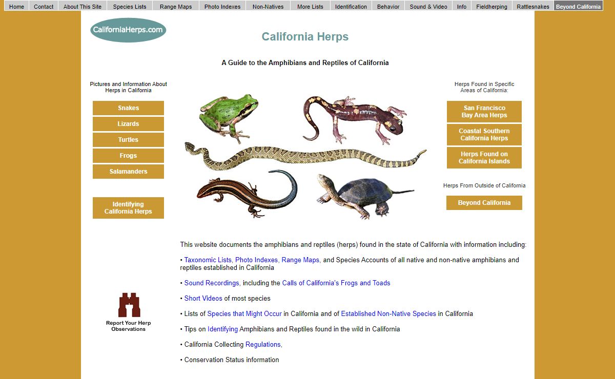 California Herps