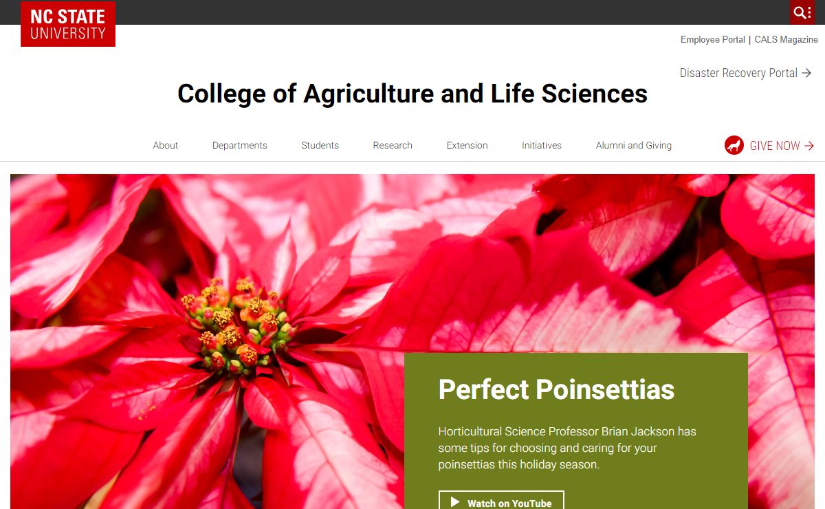 College of Agriculture and Life Sciences