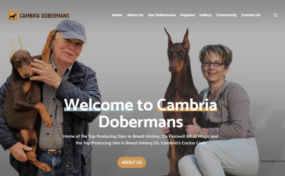 Cambria Dobermans – Doberman Pinscher Club of America recipient of APEX Award for Outstanding Breeder.