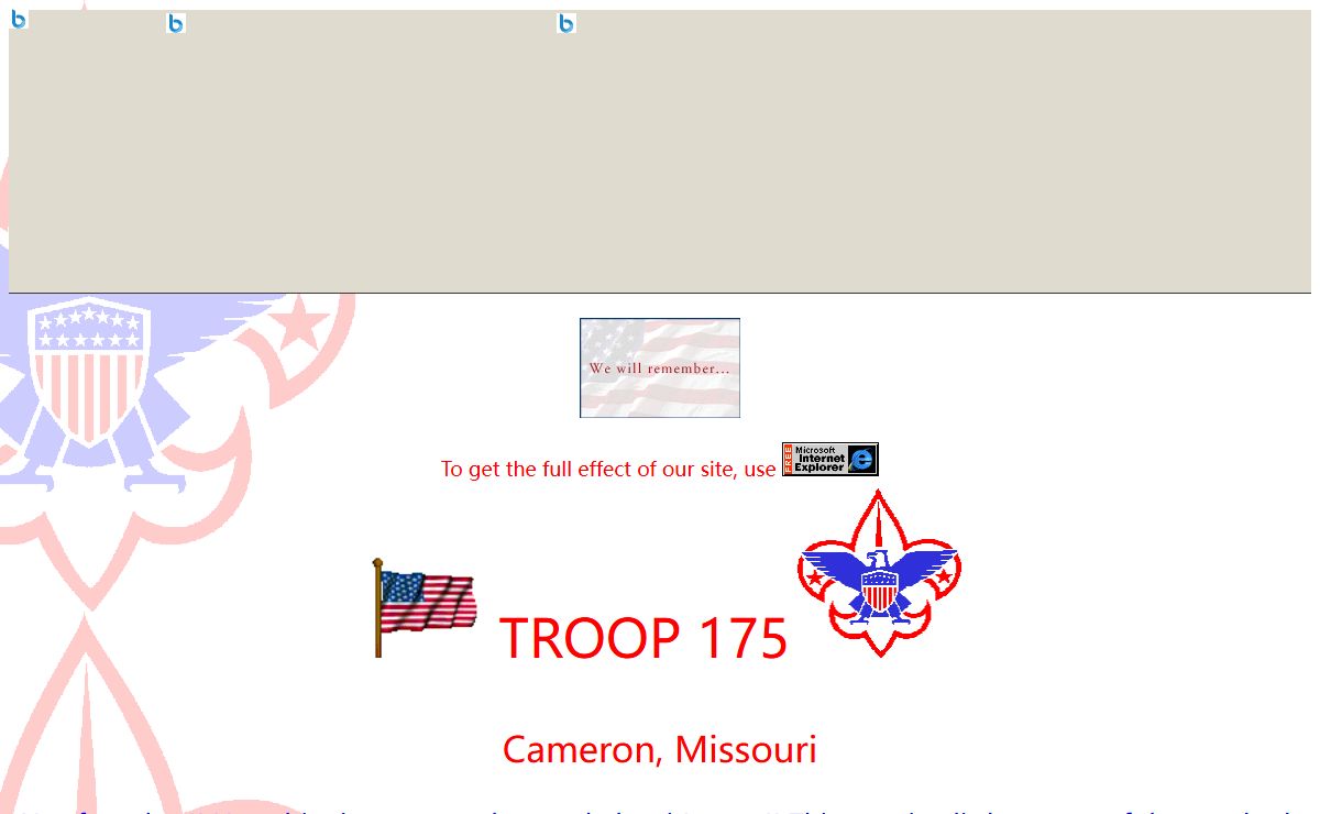 Boy Scout Troop 175