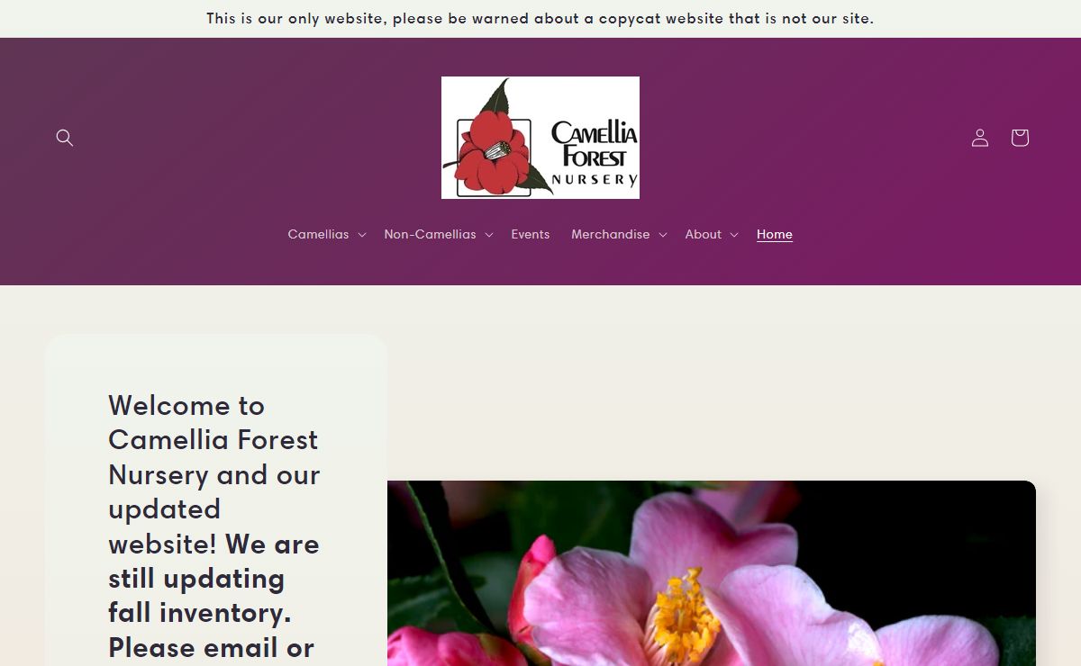 Camellia Forest Nursery