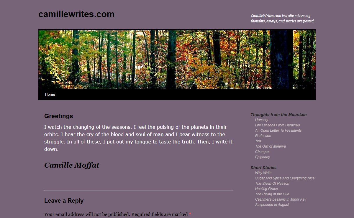 camillewrites.com | CamilleWrites.com is a site where my thoughts, essays, and stories are posted.