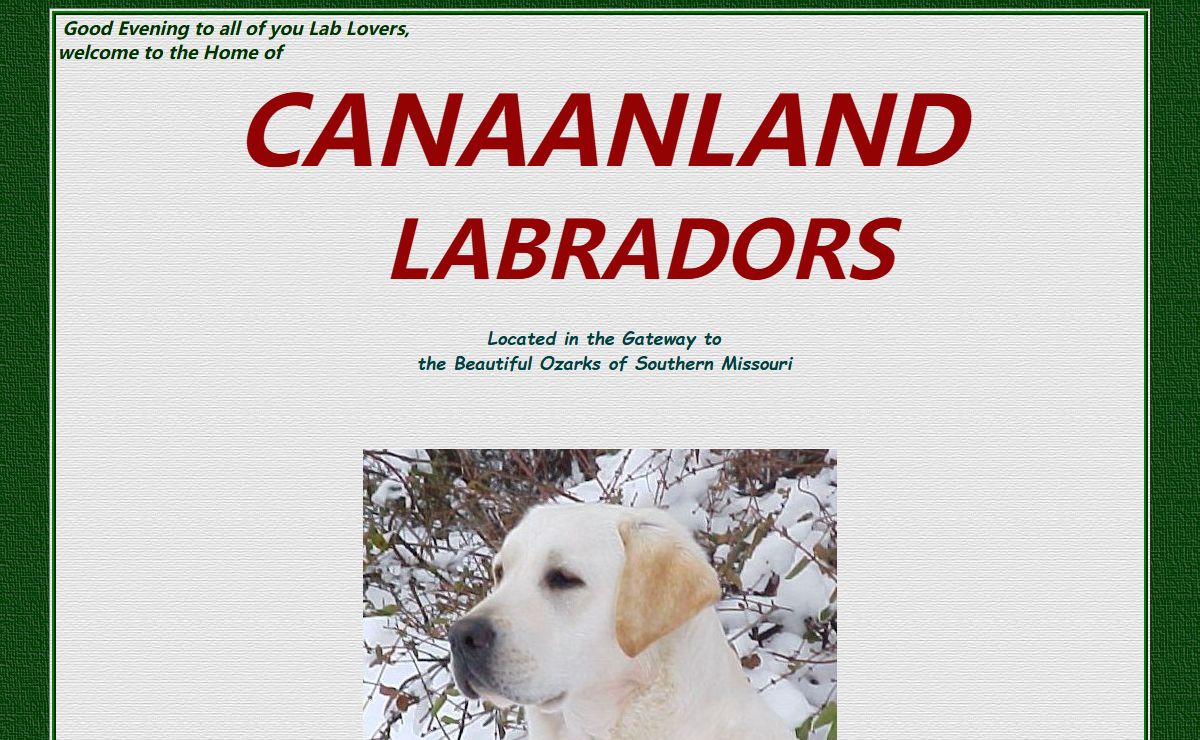 Canaanland Labradors