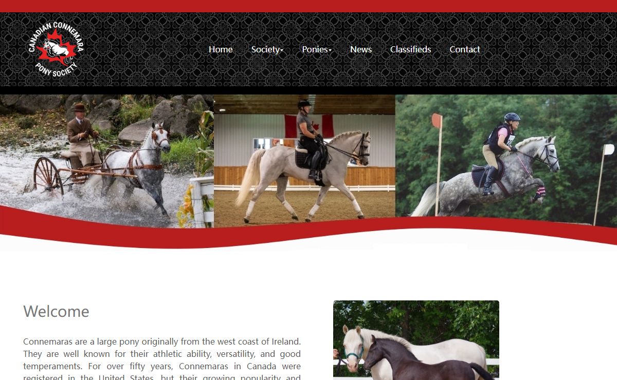 Canadian Connemara Pony Society