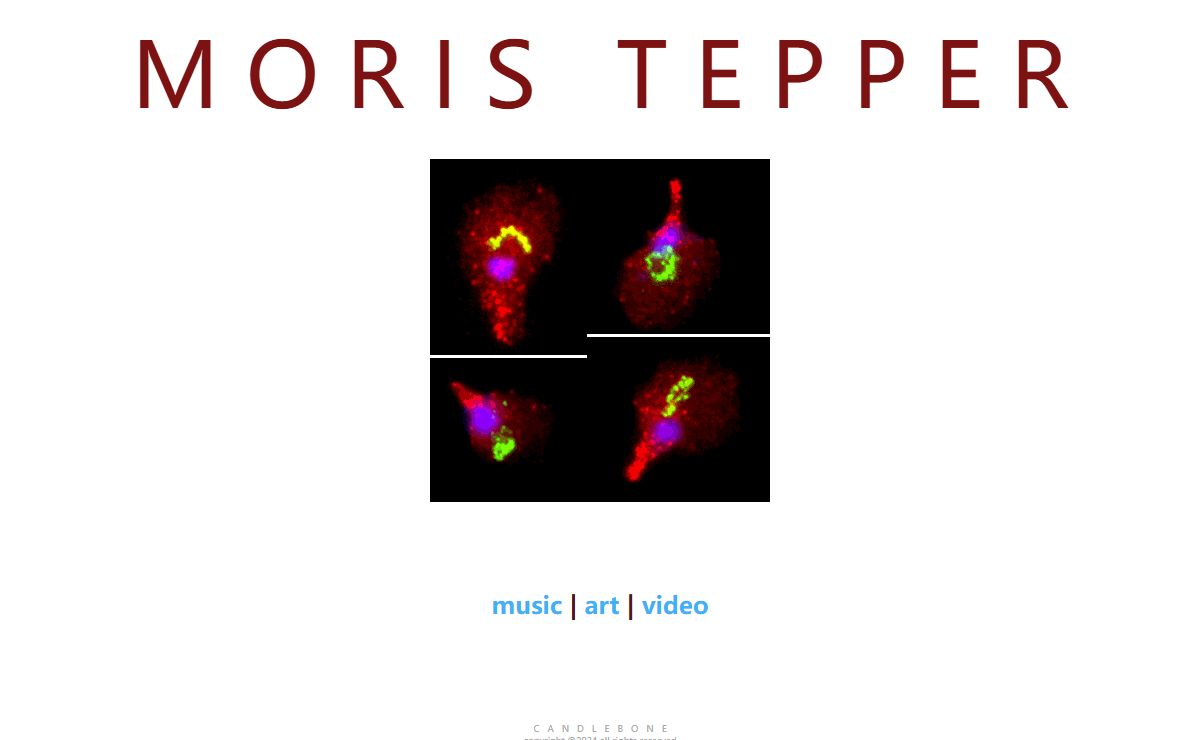 Moris Tepper