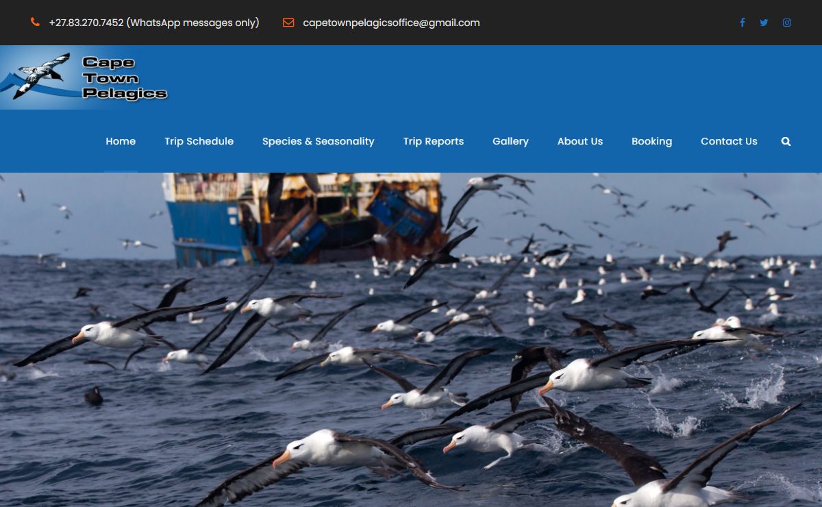 Cape Town Pelagics – The Africa Specialists