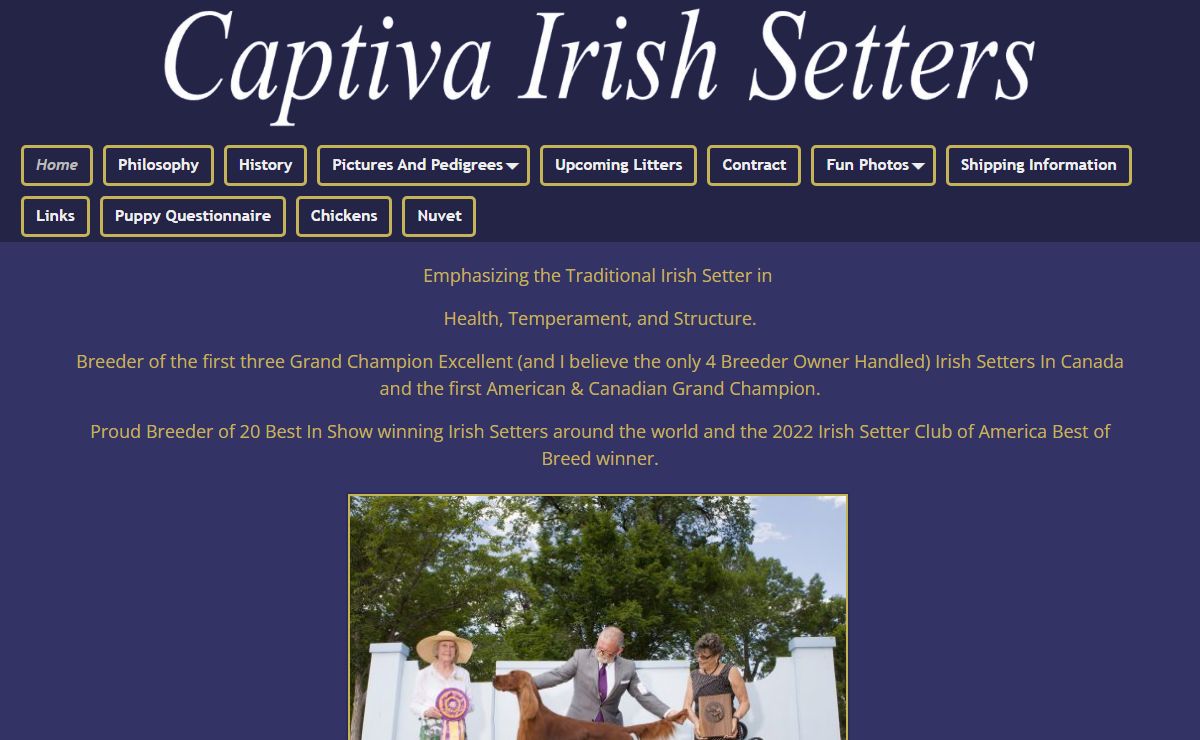 Captiva Kennels – Irish Setters, Cambridge, ON