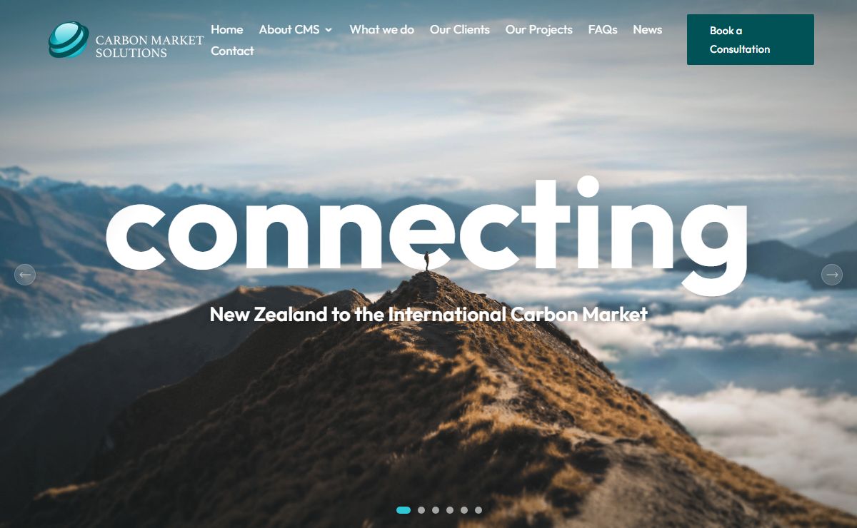 Carbon Market Solutions | NZ