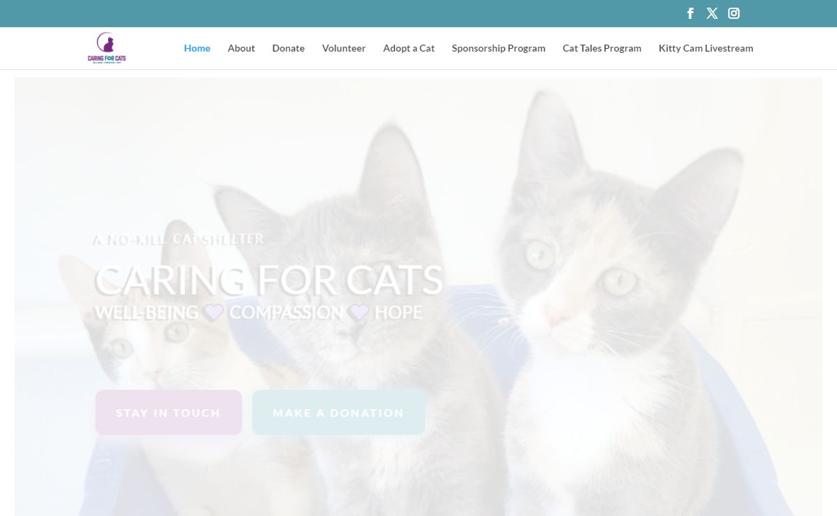 Home - Caring for Cats