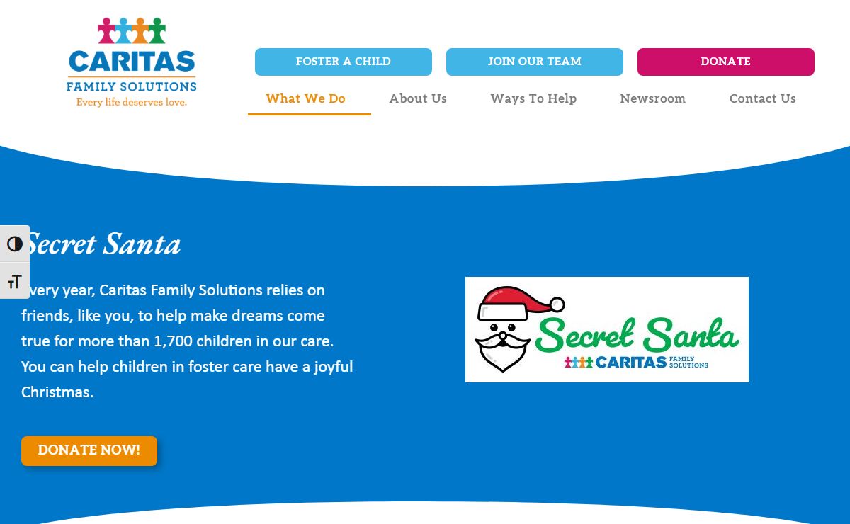 Caritas Family Solutions
