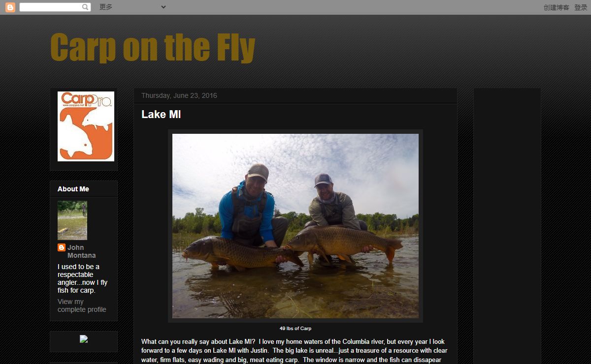 Carp on the Fly