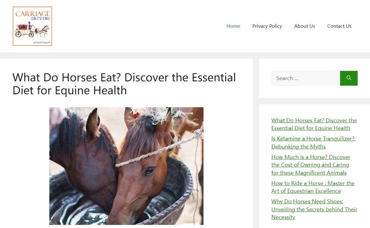 Carriage Driving - All Information About Horses And Their Carriage