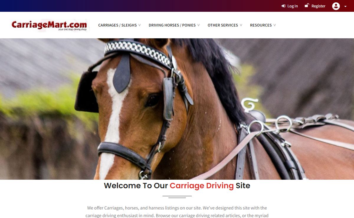 horse carriage driving carriages buggy wedding carriage rental service pleasure combined cutter sleigh horses harness - Carriage Mart.com