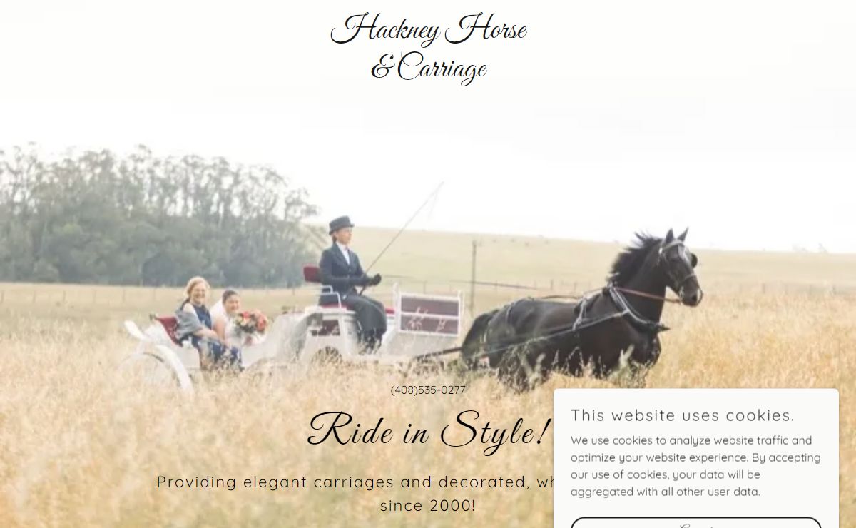 Bay Area Carriage