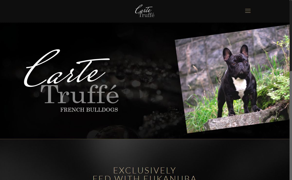 Carte Truffé Frenchies – French Bulldogs