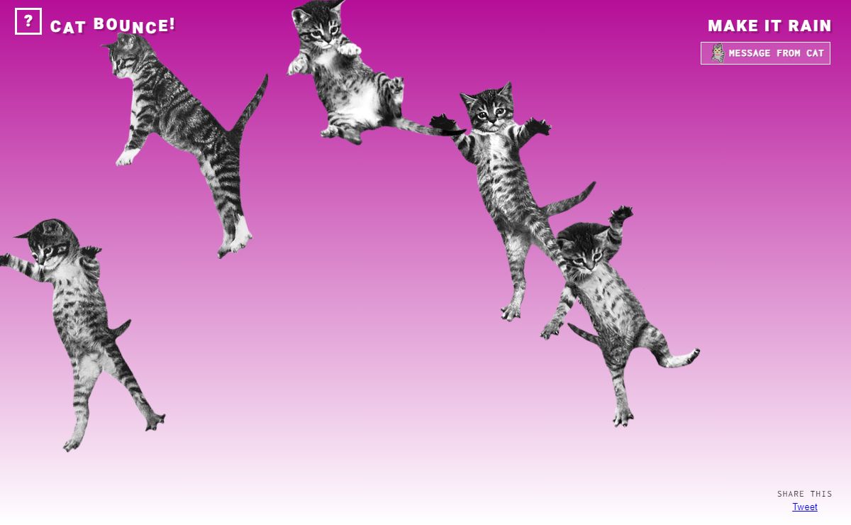 CAT BOUNCE!