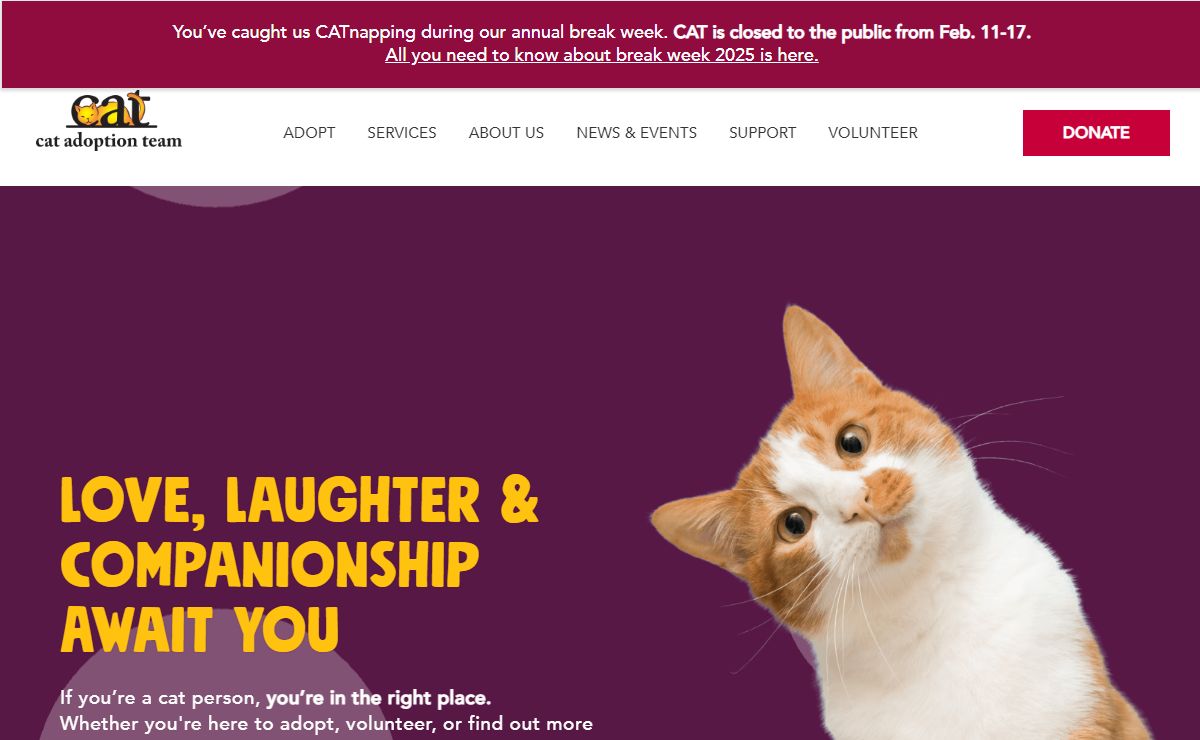 Cat Adoption Team | Sherwood Cat Rescue | Cat Adoption Center