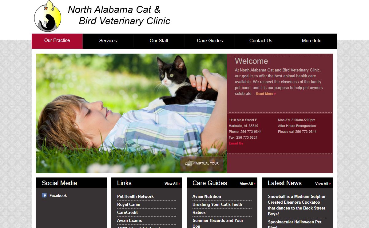 North Alabama Cat and Veterinary Clinic, Hartselle, AL 35640
