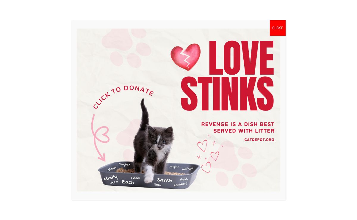 Cat Depot – The resource for rescue, adoption, and education.