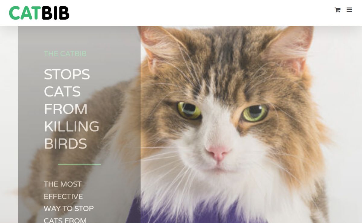 The Most Effective Way To Stop Cats From Killing Birds!