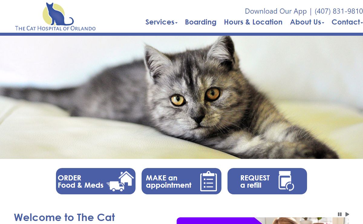 The Cat Hospital of Orlando | Altamonte Springs Veterinary Hospital