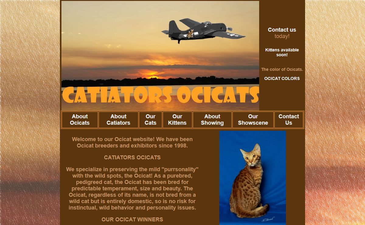 Catiators Ocicats - the mild "purrsonality" with the wild spots!