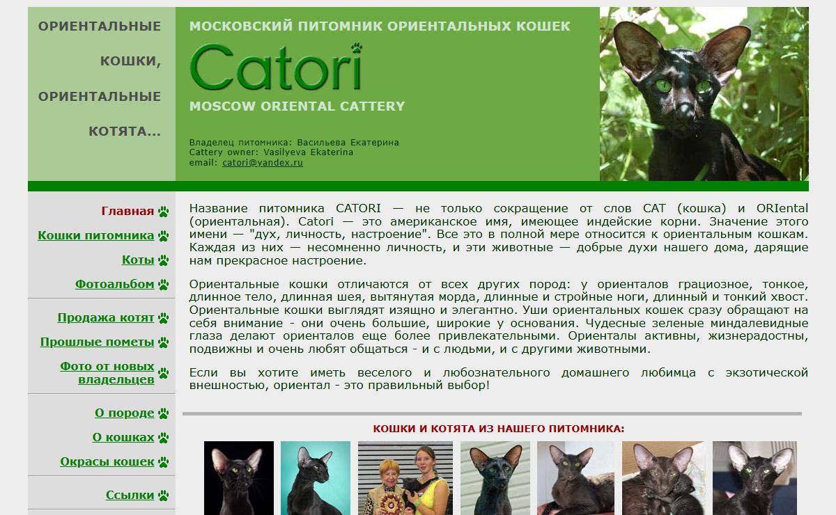 Ориентальные кошки, ориентальные котята - питомник Catori - Oriental cats and kittens - Moscow cattery Catori