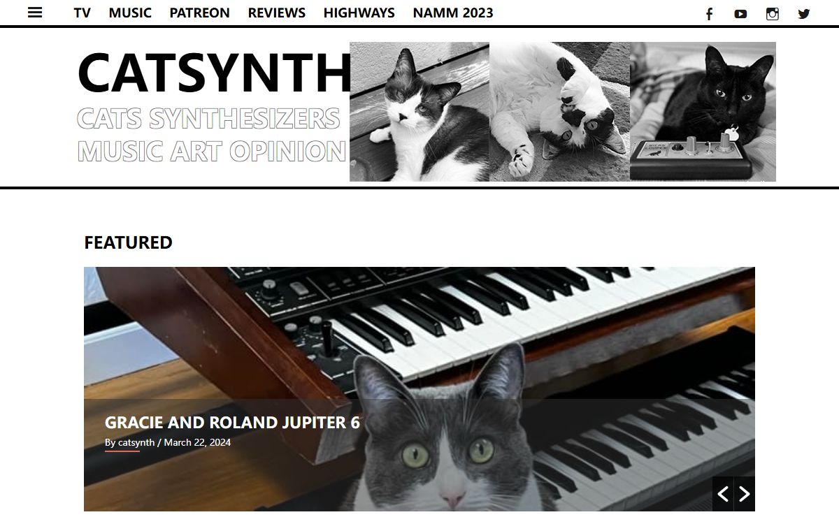 CatSynth – cats synthesizers music art opinion